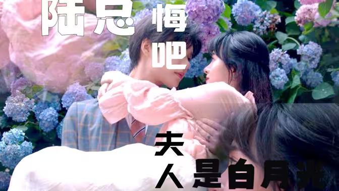 陸總懺悔吧，夫人才是白月光(全集)