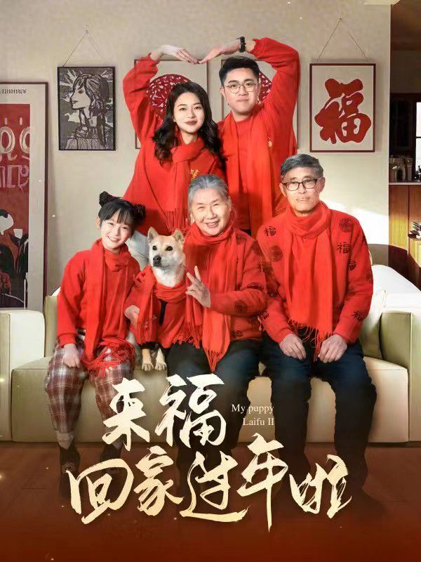 來?；丶疫^年啦(全集)