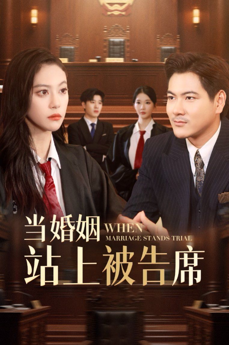 當(dāng)婚姻站上被告席(全集)