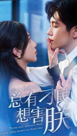 夫人快救駕，總有刁民想害朕(全集)