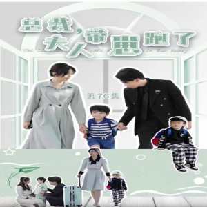 總裁，夫人帶崽跑了(全集)