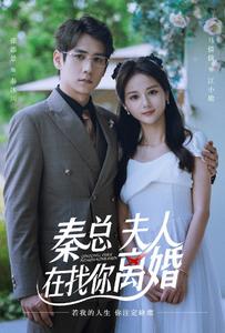 秦總，夫人在找你離婚(全集)