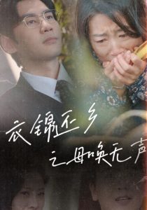 衣錦還鄉(xiāng)之母喚無聲(全集)