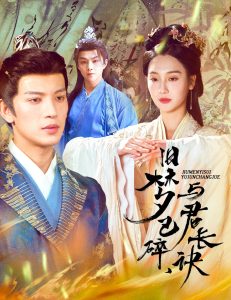 舊夢(mèng)已碎，與君長訣＆終是深情錯(cuò)付君(全集)