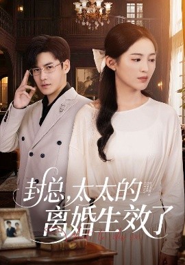 封總，太太的離婚生效了(全集)