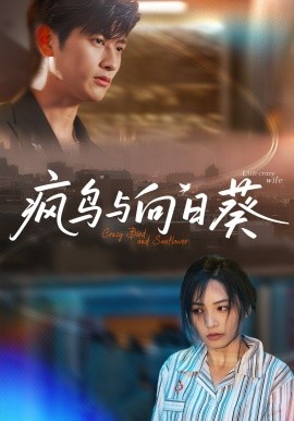 瘋鳥(niǎo)與向日葵(全集)