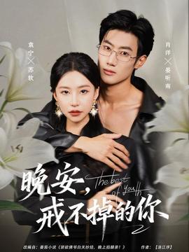 晚安，戒不掉的你(全集)