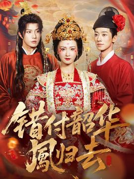 錯付韶華鳳歸去(全集)