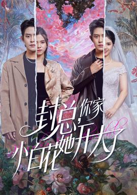 封總，你家小白花她開(kāi)大了(全集)