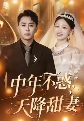 中年不惑，天降甜妻(全集)