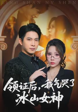 領證后，我氣哭了冰山女神(全集)