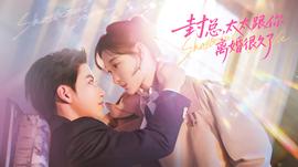 封總，太太跟你離婚很久了(全集)