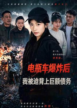 電瓶車爆炸后，我被迫背上巨額債務(wù)(全集)